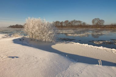 winter landscape. morning frost and sun. ice drift on the river. the branches of plants are covered with white frost 2022