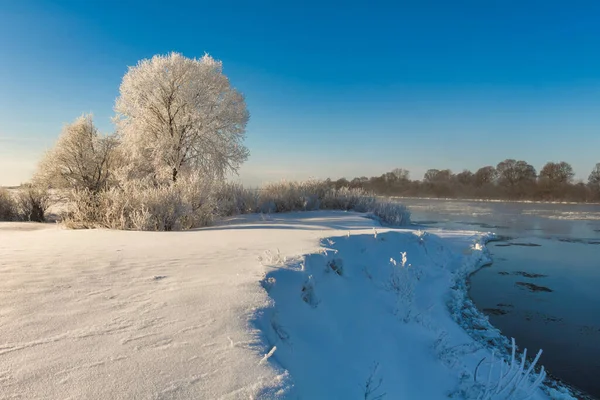 Winter Landscape Morning Frost Sun Ice Drift River Branches Plants — Photo