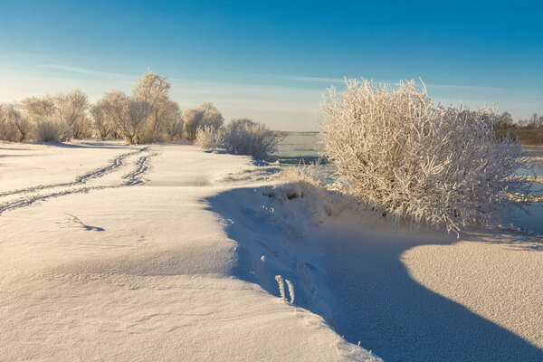 winter landscape. morning frost and sun. ice drift on the river. the branches of plants are covered with white frost 2022