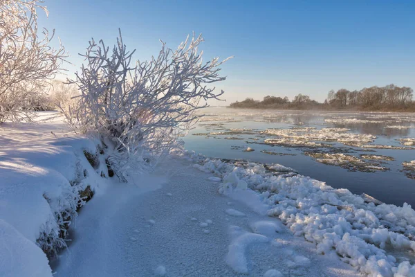 Winter Landscape Morning Frost Sun Ice Drift River Branches Plants — Stockfoto