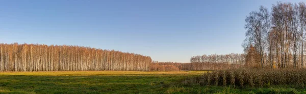 Spring Landscape Agricultural Field Early Spring 2022 — 스톡 사진