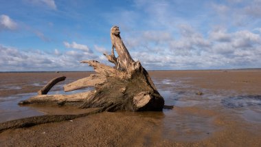 Güneşli bir günde kumlu bir sahilde dalgalanıyor