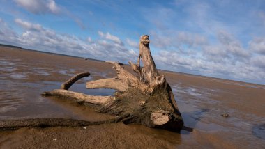 Güneşli bir günde kumlu bir sahilde dalgalanıyor