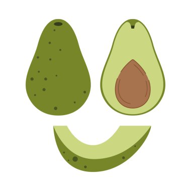 Avokado organik ürün vektörü