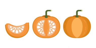 Balkabağı vektör illüstrasyonu