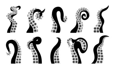 Ahtapot ahtapot desenli grafiksel dokunaçlar. Kraken canavarı ya da sualtı okyanus balığı. Siyah bükülmüş uzuvlar, emiciler deniz mürekkep balığı, kafadanbacaklılar. Geometrik düz karton tasarımı