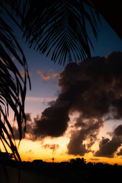 Zachód Słońca Tropikach Złoty Zachód Słońca Tropikach Nieostrym Liściem Palmy — Zdjęcie stockowe