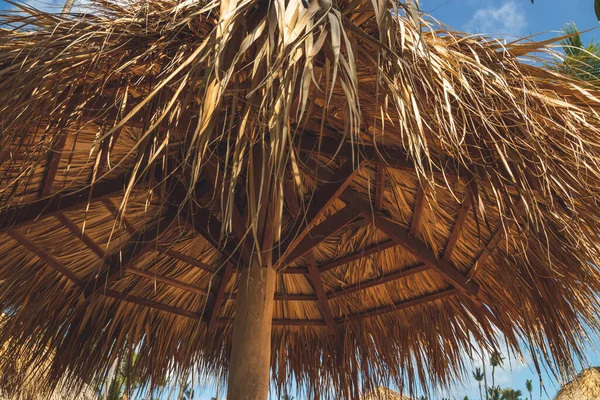 Plaża Hatched Palapa Koncepcja Podróży — Zdjęcie stockowe