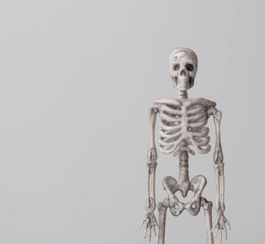 Gri arka planda iskelet.