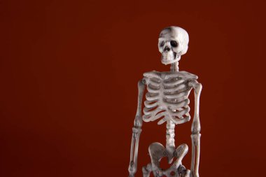 İnsan iskeleti ve turuncu arkaplan.