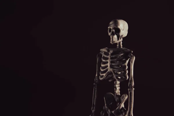 Skeleton Dark Black Background Copy Space —  Fotos de Stock