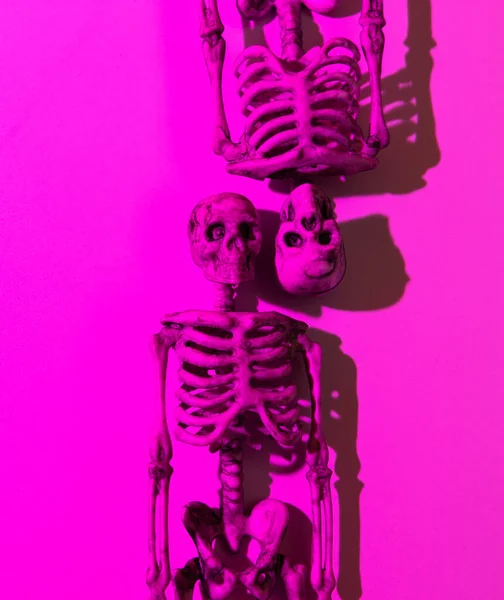 Två Dockor Mänskliga Skelett Tillsammans Ligga Ner Den Lila Bakgrunden — Stockfoto