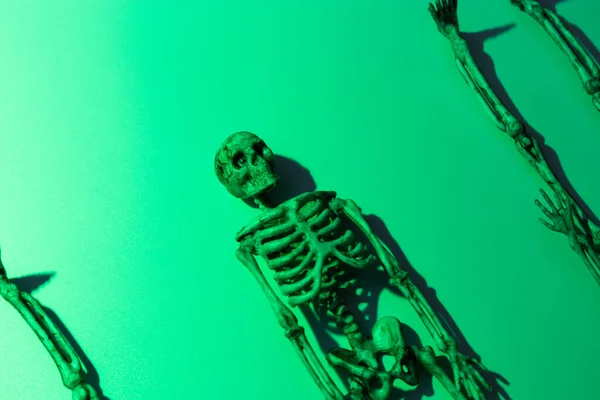 Skeleton Green Background Abstract Human Life — Zdjęcie stockowe