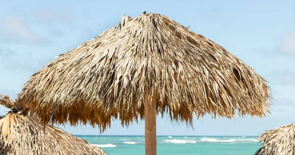 Beach Palapa Beach Umbrella Caribbean Sea — стоковое фото