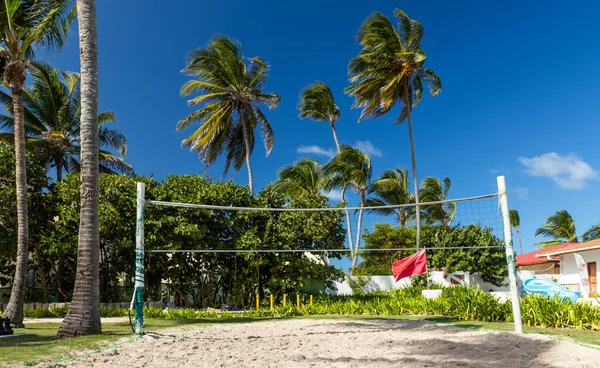Beach Volleyball Palms Summer — Zdjęcie stockowe