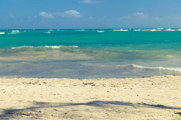 Seyahat konsepti. Turkuaz okyanus ve kumsal manzarası. 