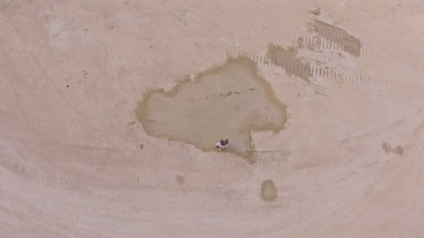 Девушка стоит в пустыне. Вид сверху с воздуха. Сюрреализм — стоковое видео