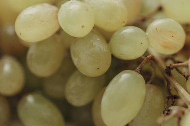 Üzüm Kabuktaki Su Damlacıklarıyla Kapatın