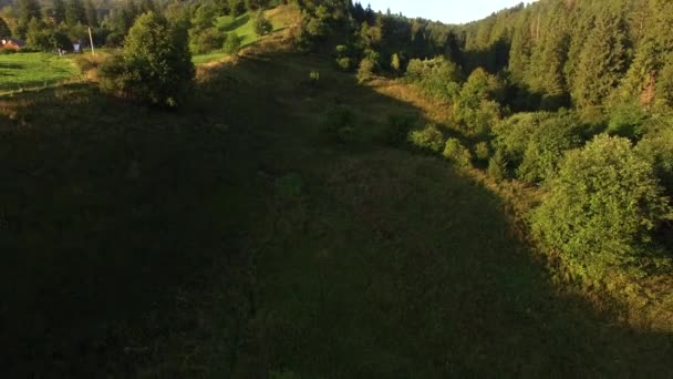 Természet 4K. Karpatiai hegyek. Légi felvétel — Stock videók
