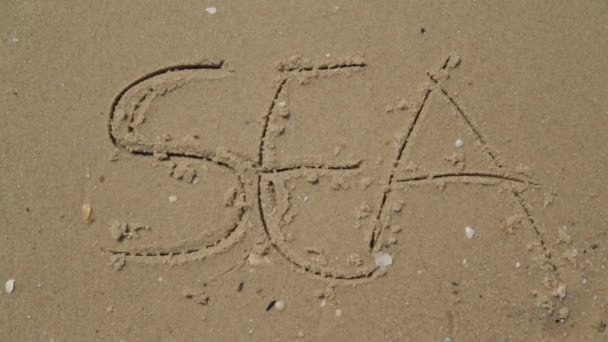 Text Meer auf dem Sand eines Strandes geschrieben. Das Meer vor dem Hintergrund von Briefen — Stockvideo