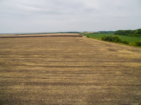 Harvesting in the field. Aerial view. A Lot of Land — Stock Photo, Image
