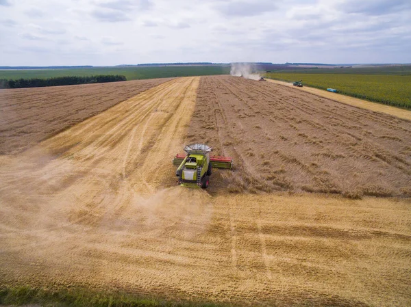 Harvesting in the field. Aerial view. Wheat field — Stock Photo, Image