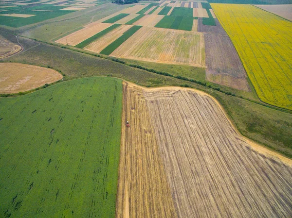 Сбор урожая в поле. Вид с воздуха. Земельный участок — стоковое фото