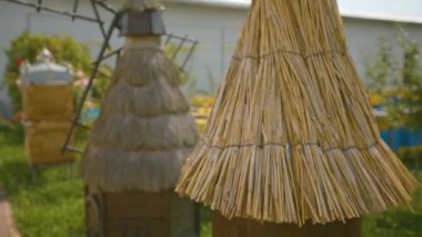 Eşsiz ahşap arı kovanı. Endüstriyel arıcılık.