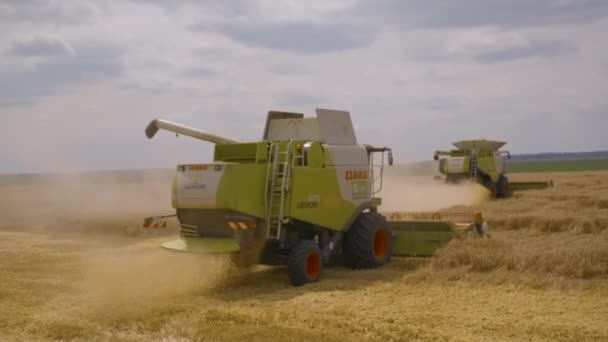 Harvesting in the Wheat Field. Combine Harvesters Cut Grain Crops — 图库视频影像