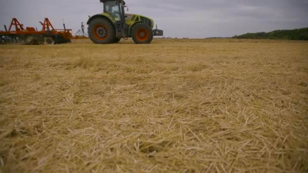 Cosechando en el campo. Cultivo de tierras con tractor — Vídeo de stock