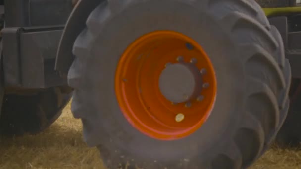 Harvesting in the Wheat Field. Combine Harvesters Cut Grain Crops — 비디오