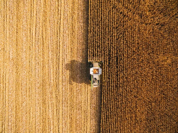 Zbieram kukurydzę w Green Big Field. Widok z lotu ptaka na zautomatyzowane połączenia — Zdjęcie stockowe