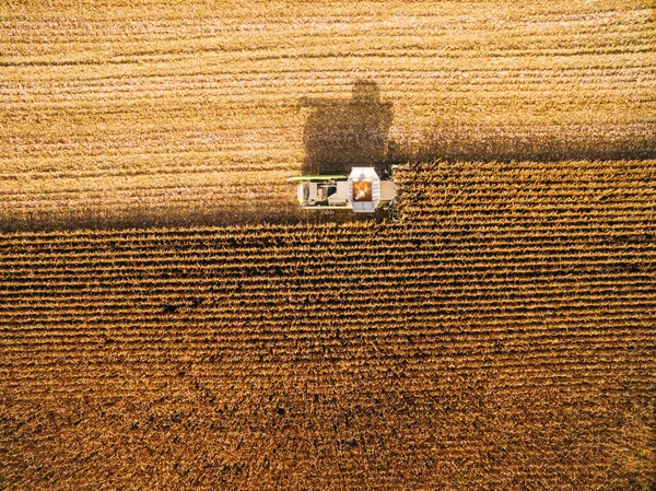 Zbieram kukurydzę w Green Big Field. Widok z lotu ptaka na zautomatyzowane połączenia — Zdjęcie stockowe