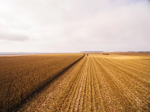 Zbieram kukurydzę w Green Big Field. Widok z lotu ptaka na zautomatyzowane połączenia — Zdjęcie stockowe