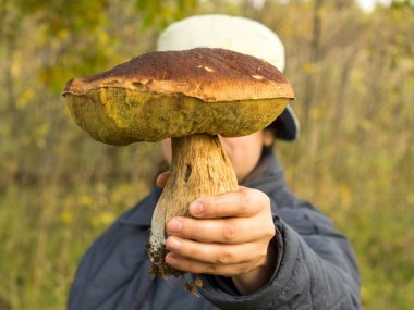Kız mantar toplayıcısı elinde büyük beyaz bir mantar tutuyor.