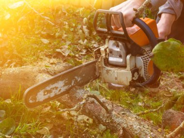 Bir adam elektrikli testereyle ağaç içiyordu. Bahçedeki bitkileri eski ağaçlardan toplar, yakacak odun toplar..