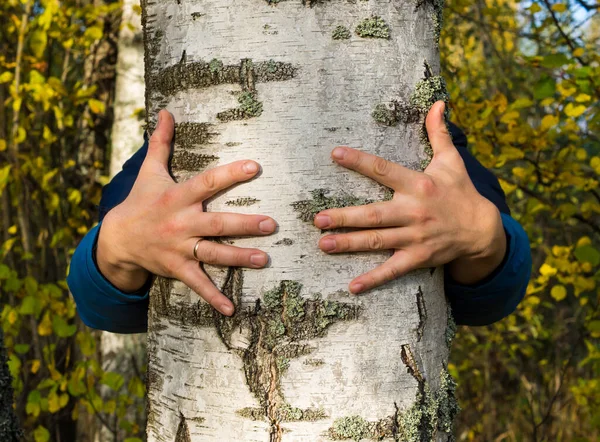 a man hugs a tree with love, receives energy from a tree