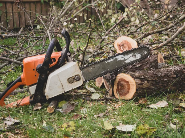 Close-up of a professional chainsaw blade for cutting a log from a tree against the background of a chopped log