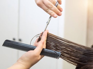 Kırık uçlardan kurtul. Güzellik salonunda bir müşterinin saçını makasla kesmek..