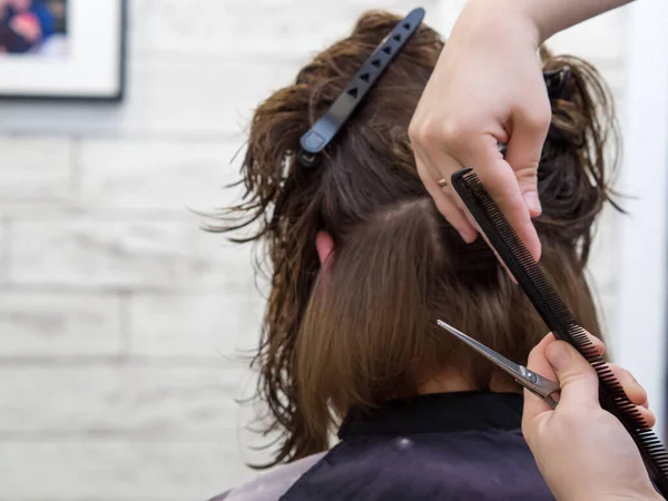 Chica Consigue Nuevo Peinado Salón Belleza Peinado Profesional Del Cabello — Foto de Stock