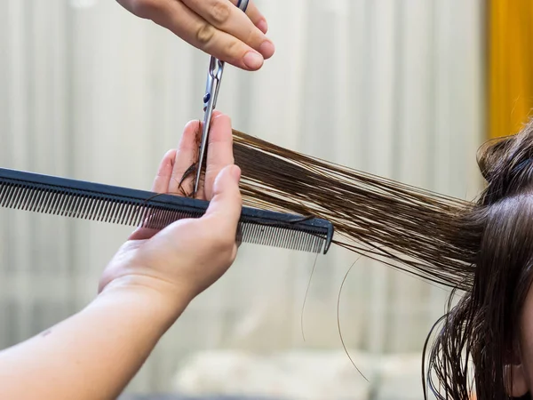 Get Rid Split Ends Cutting Client Hair Scissors Beauty Salon — Stock Photo, Image