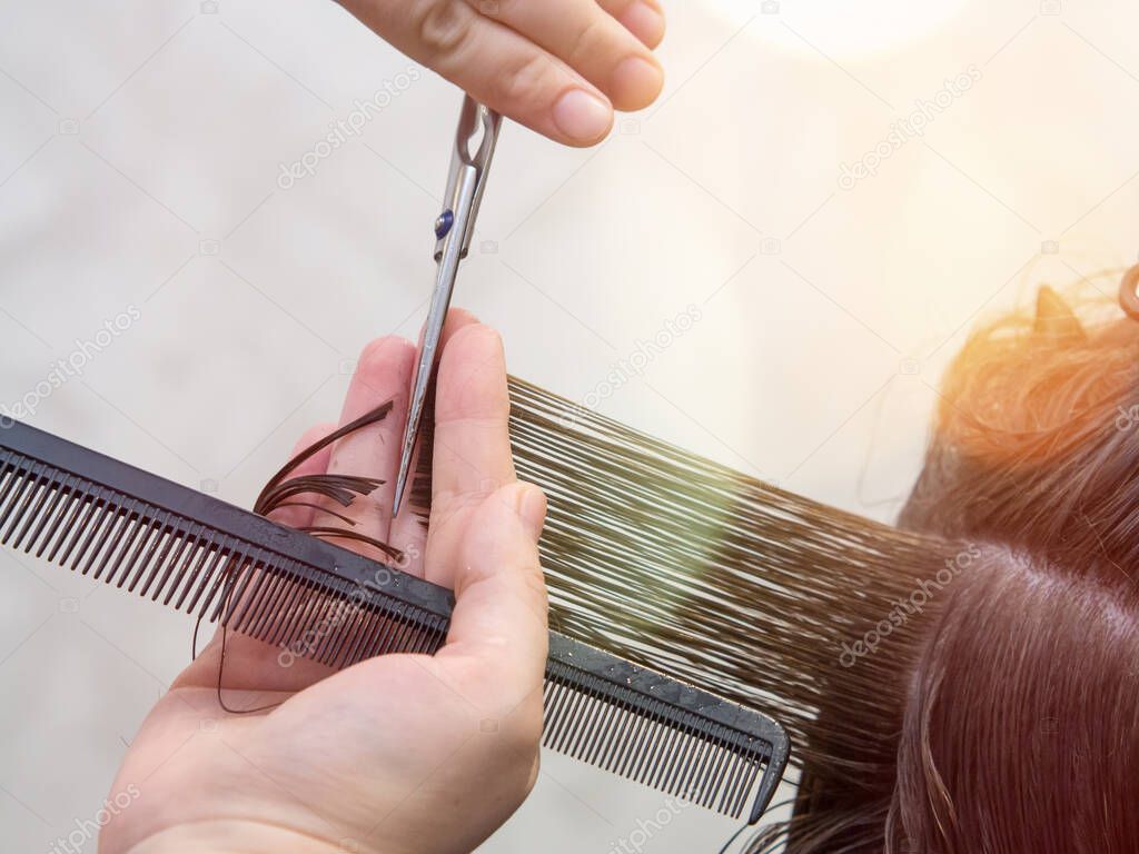 Get rid of split ends. cutting a client's hair with scissors in a beauty salon.