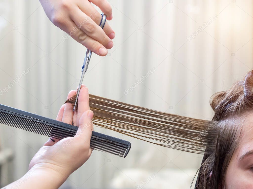 Get rid of split ends. cutting a client's hair with scissors in a beauty salon.