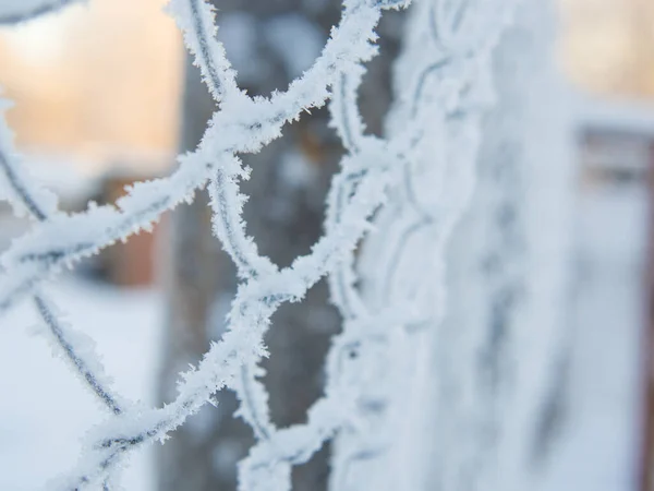 Παγωμένος Μεταλλικός Φράχτης Καλυμμένος Χιόνι Παγετός — Φωτογραφία Αρχείου