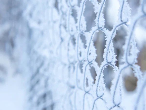 Frozen Metal Fence Ornament Covered Snow Hoarfrost — 图库照片