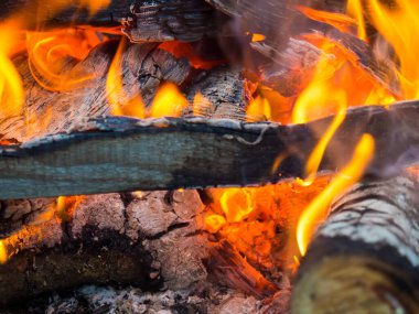 Yanan ateş. Ormanda yangın var. Yanan kömürlerin dokusu. Ormanda yemek pişirmek için kamp ateşi. Kuru dalları yakmak.