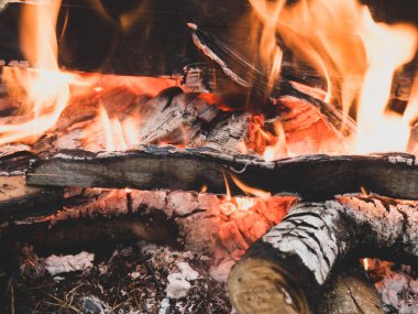 Yanan ateş. Ormanda yangın var. Yanan kömürlerin dokusu. Ormanda yemek pişirmek için kamp ateşi. Kuru dalları yakmak.