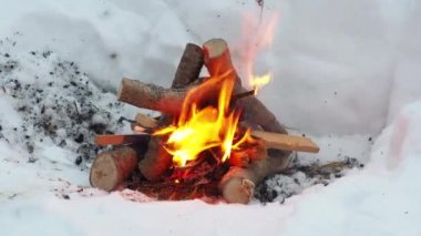Yanan ateş. Ormanda yangın var. Yanan kömürlerin dokusu. Ormanda yemek pişirmek için kamp ateşi. Kuru dalları yakmak.