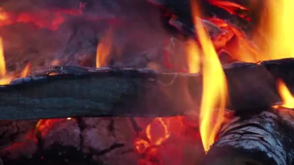 Płonący Ogień Ogień Pali Się Lesie Tekstura Spalania Węgla Ognisko — Wideo stockowe