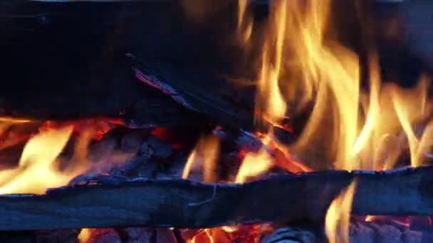 Fuego Ardiente Fuego Arde Bosque Textura Carbones Quemados Fogata Para — Vídeos de Stock